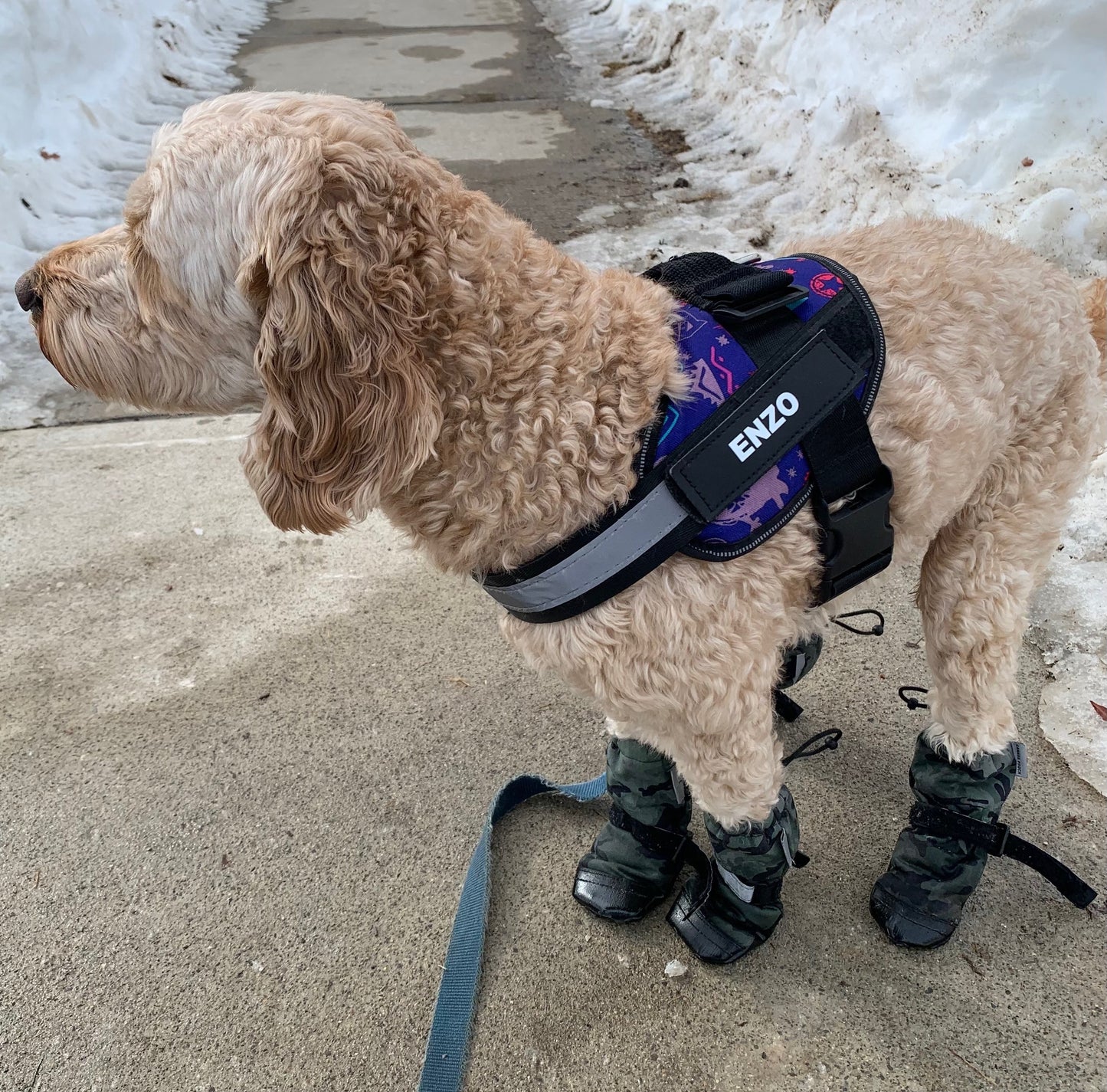 HALOFIT HARNESS