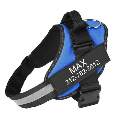 HALOFIT HARNESS