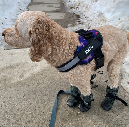 HALOFIT HARNESS