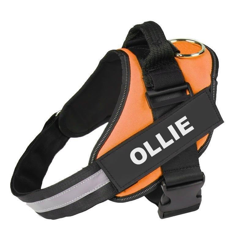 HALOFIT HARNESS