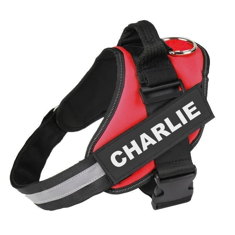 HALOFIT HARNESS