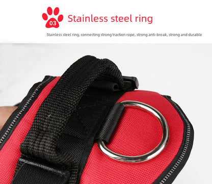 HALOFIT HARNESS